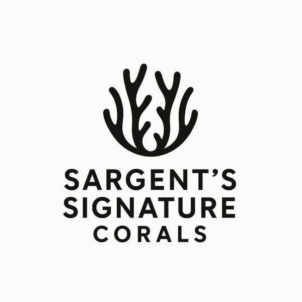 Sargents Signature Corals 