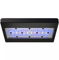Ecotech Marine Radion XR30 G6 Blue LED Light Fixture